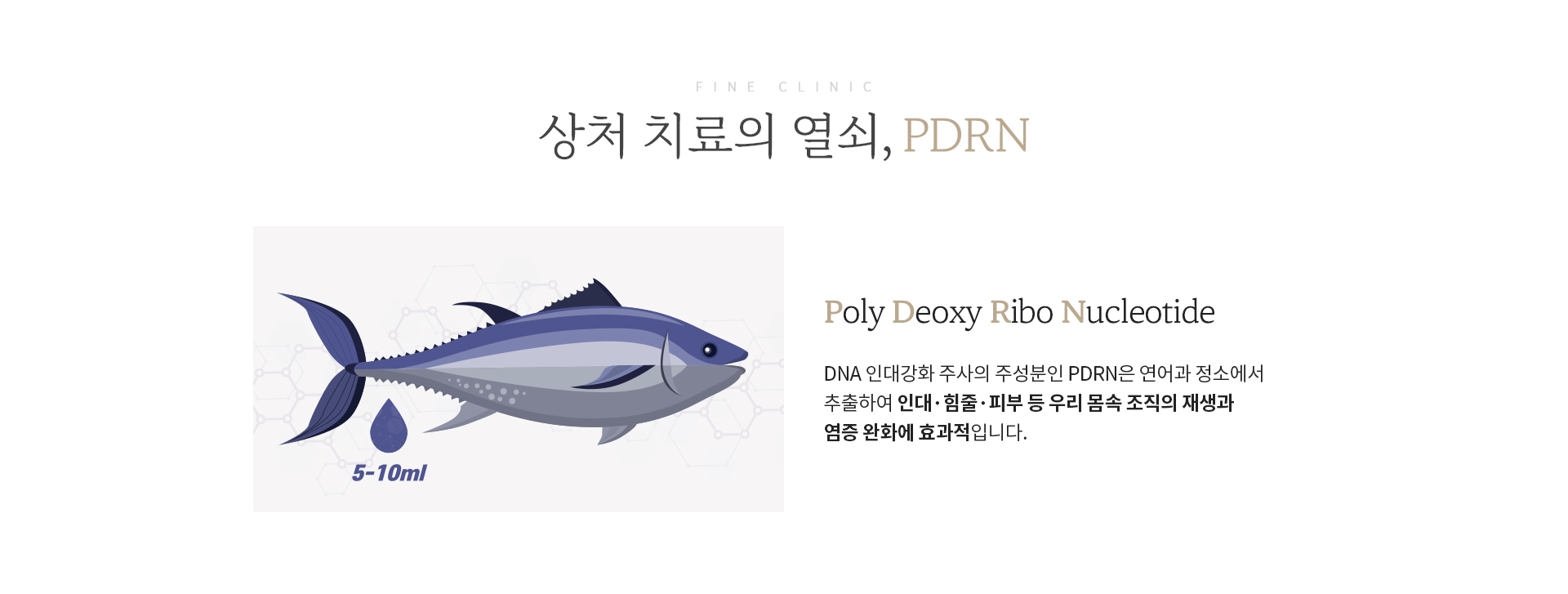 상처치료의열쇠 PDRN